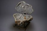 Amazing Quartz Geode Display on Stand - Spectacular #351499-6